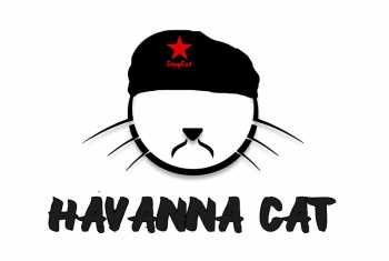 Copy Cat Hav. Cat 10ml Aroma (würziges Tabakaroma)
