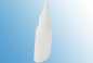 Preview: 50ml Liquidflasche OVAL