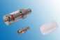Preview: Dampf Shop - Anyvape Furytank Glassomizer Kit