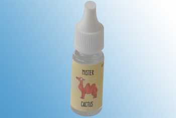 ExtraDIY Mister Cactus Aroma (Kaktus)