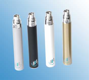 Ego Akku (Batterie) 1100mAh (bis zu 3,5 Volt)