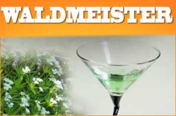 Waldmeister Liquid 10ml