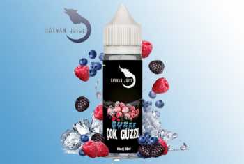 COK GueZEL Aroma Hayvan Juice 10ml / 60ml (Beerenmix mit Frische)