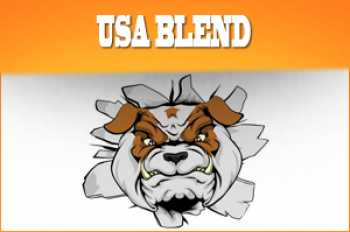 USA Blend Liquid 30ml