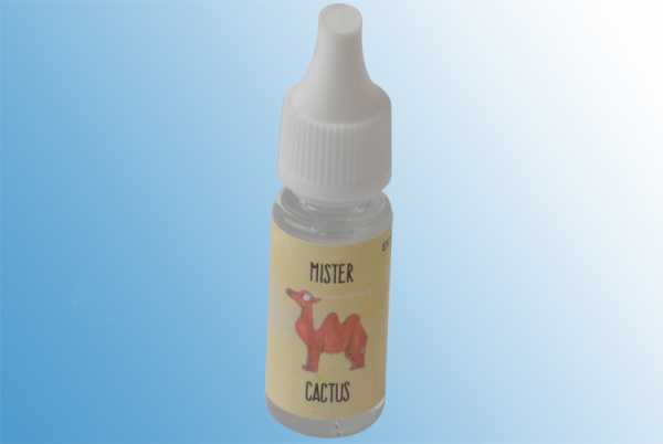 ExtraDIY Mister Cactus Aroma (Kaktus)
