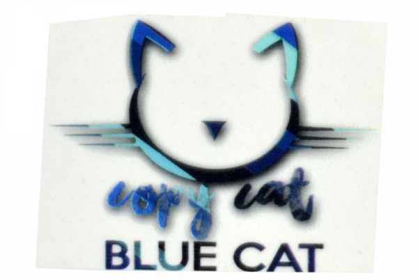 Copy Cat Blue Cat Aroma Mix aus frischen Früchten und frischen Menthol