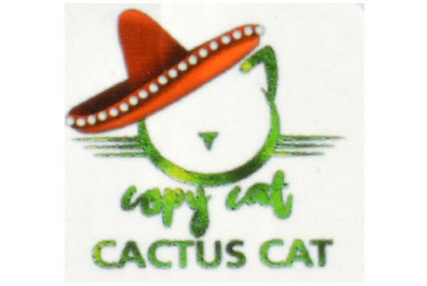 Copy Cat Cactus Cat Aroma Kaktusfrucht gemixt mit saftiger Blutorange