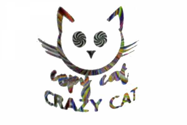 Copy Cat Crazy Cat Aroma sahniger Milchreis mit Mango