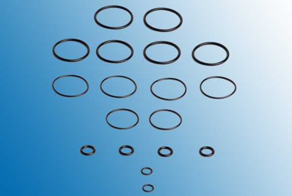 Selbstwickelverdampfer Taifun GSL O-Ring Set