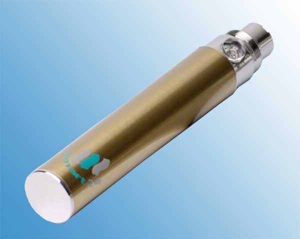 Ego Akku (Batterie) 900mAh (bis zu 3,5 Volt)