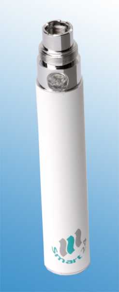 Ego Akku (Batterie) 900mAh (bis zu 3,5 Volt)
