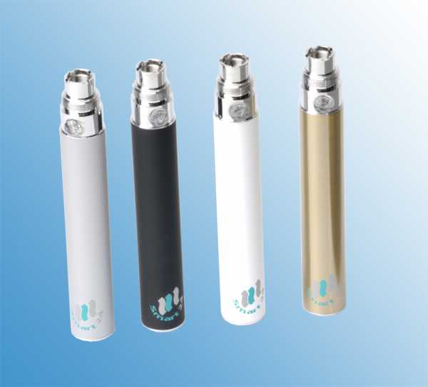 Ego Akku (Batterie) 900mAh (bis zu 3,5 Volt)