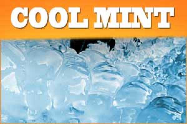 Cool Mint E-Zigaretten Liquid & Aroma