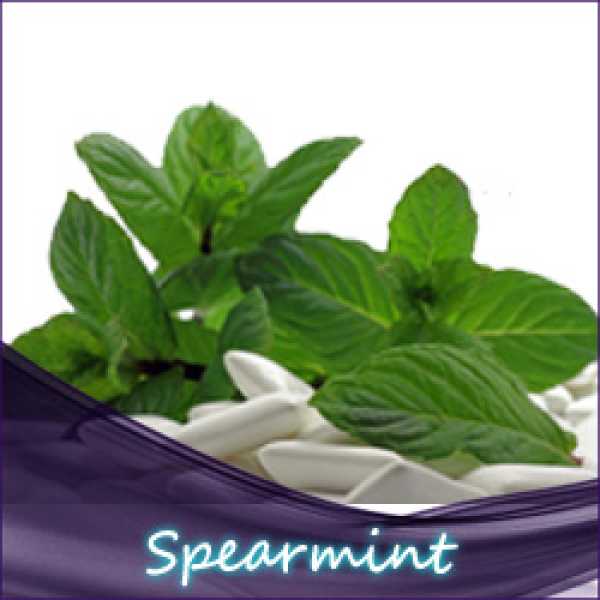 Spearmint Ultrabio Liquid 10ml lecker frisches Spearmint Liquid