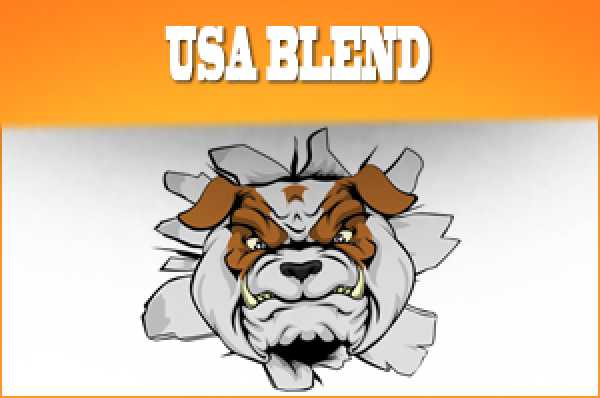 USA Blend Liquid 30ml