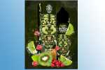 Moombah DVTCH Amsterdam Kiwi E-Zigaretten Liquid 60ml