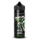 Melon Berry Dampflion 10ml Aroma (Wassermelone trifft reife Erdbeeren)
