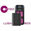 Efest Lush Box Powerbank Akku Schnell Ladegerät